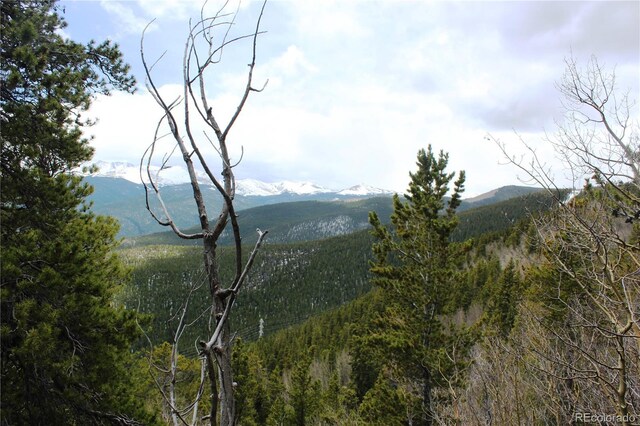 00 Lamertine Rd, Idaho Springs, CO 80452