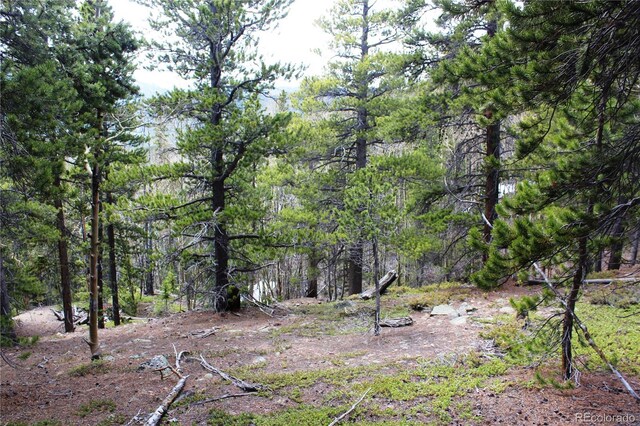 00 Lamertine Rd, Idaho Springs, CO 80452