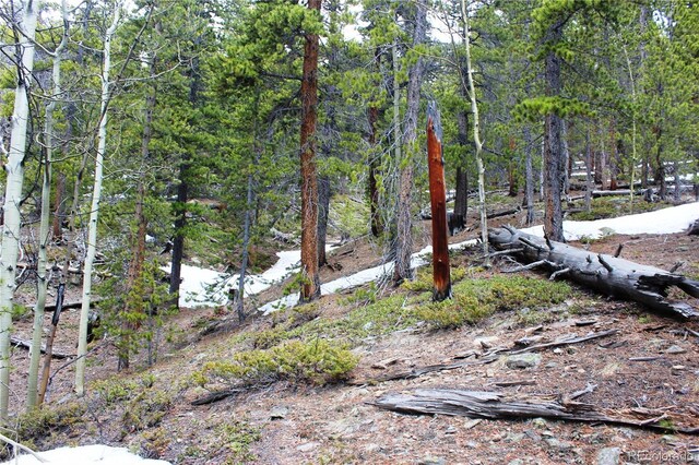 00 Lamertine Rd, Idaho Springs, CO 80452