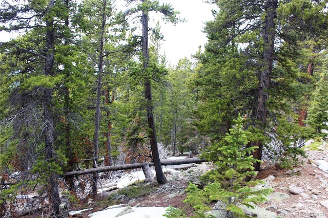 00 Lamertine Rd, Idaho Springs, CO 80452