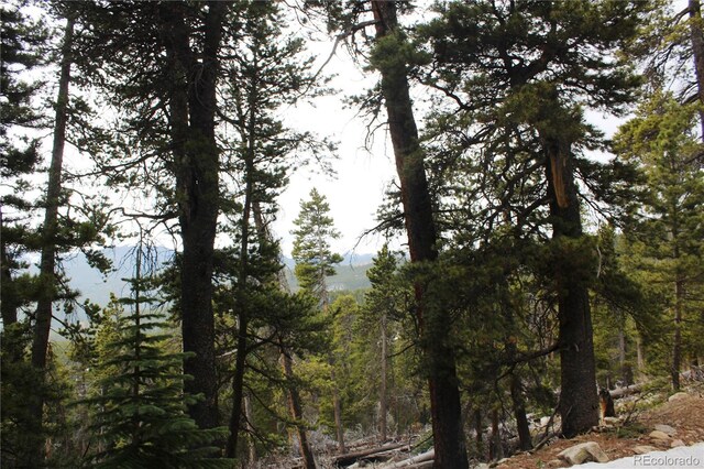 00 Lamertine Rd, Idaho Springs, CO 80452