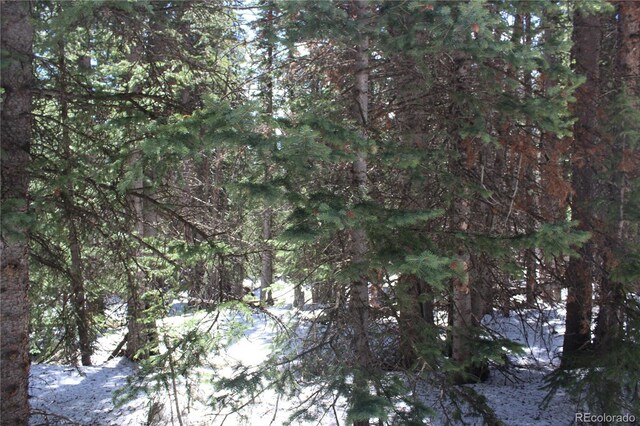 00 Lamertine Rd, Idaho Springs, CO 80452
