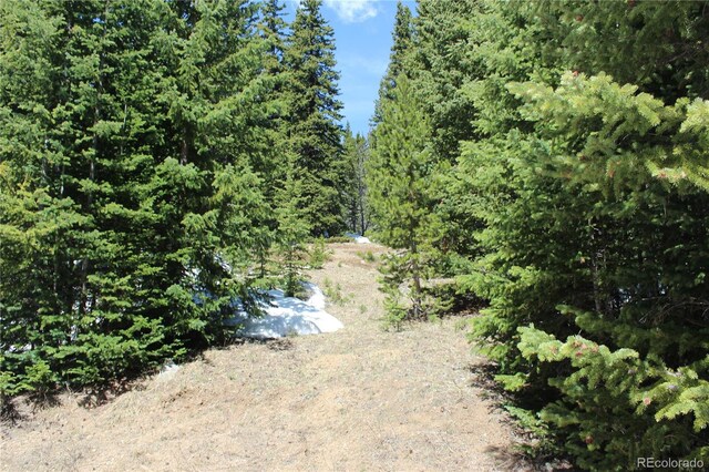 00 Lamertine Rd, Idaho Springs, CO 80452