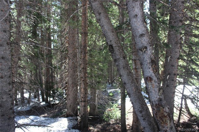 00 Lamertine Rd, Idaho Springs, CO 80452