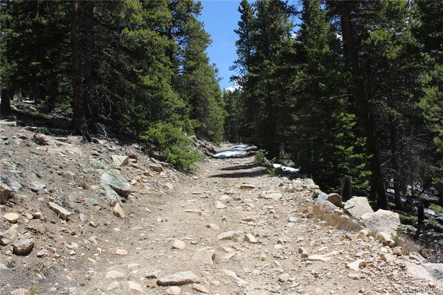 00 Lamertine Rd, Idaho Springs, CO 80452