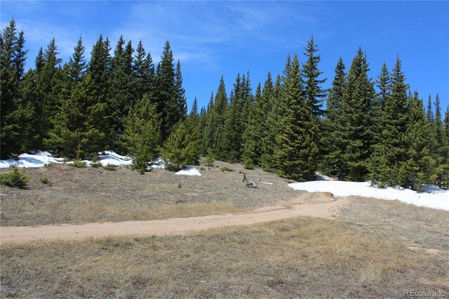 00 Lamertine Rd, Idaho Springs, CO 80452