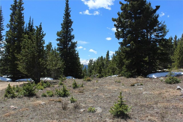 00 Lamertine Rd, Idaho Springs, CO 80452