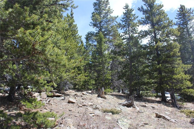 00 Lamertine Rd, Idaho Springs, CO 80452