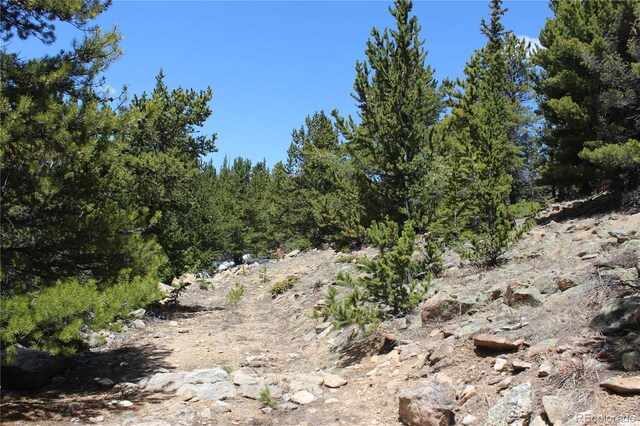 00 Lamertine Rd, Idaho Springs, CO 80452