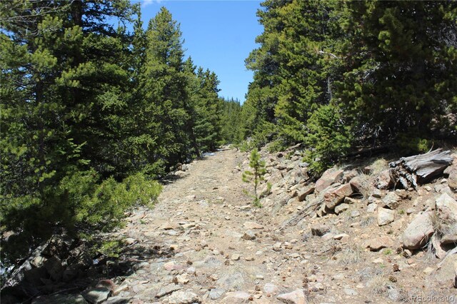 00 Lamertine Rd, Idaho Springs, CO 80452
