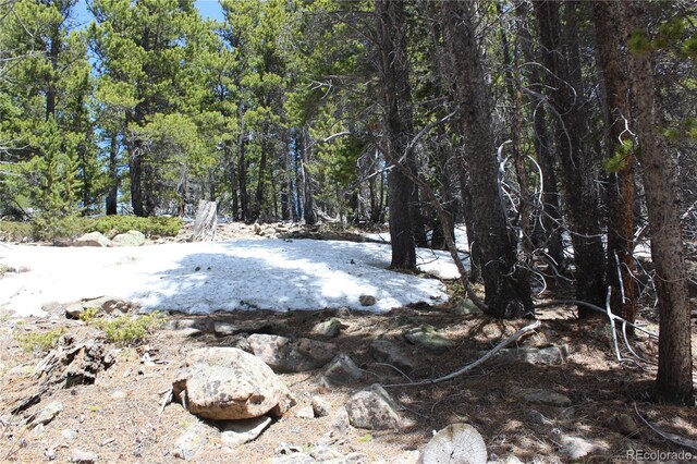 00 Lamertine Rd, Idaho Springs, CO 80452