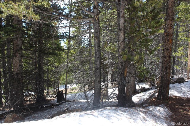 00 Lamertine Rd, Idaho Springs, CO 80452