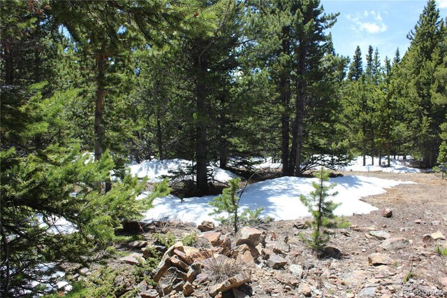 00 Lamertine Rd, Idaho Springs, CO 80452