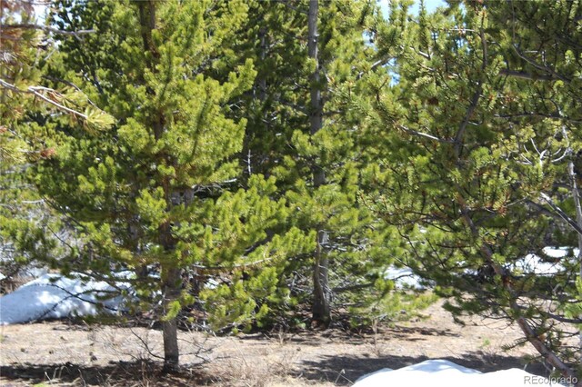 00 Lamertine Rd, Idaho Springs, CO 80452