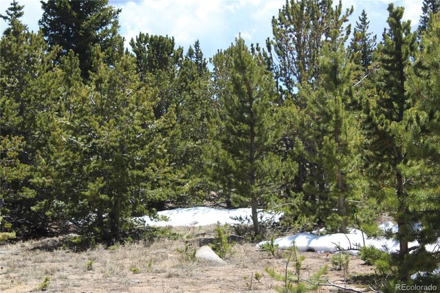 00 Lamertine Rd, Idaho Springs, CO 80452