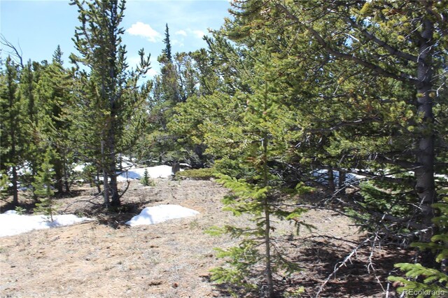 00 Lamertine Rd, Idaho Springs, CO 80452