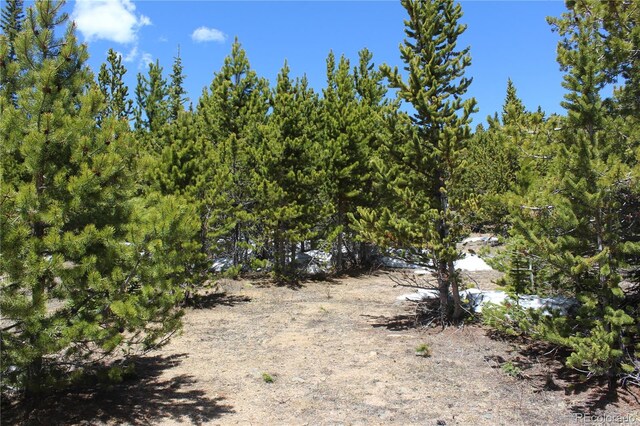 00 Lamertine Rd, Idaho Springs, CO 80452
