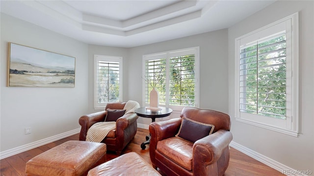 living area featuring hardwood / wood-style flooring and a raised ceiling