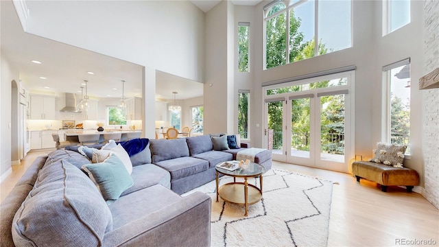 living room featuring a towering ceiling and light hardwood / wood-style flooring