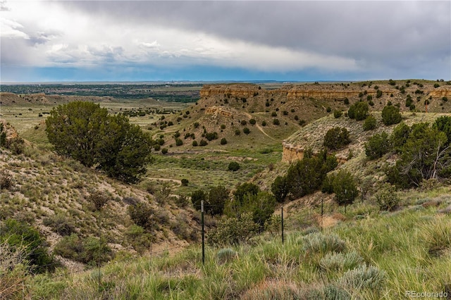 532 E Mountainside Dr, Pueblo, CO 81007 - photo 19