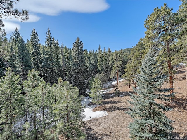 view of local wilderness with a view of trees