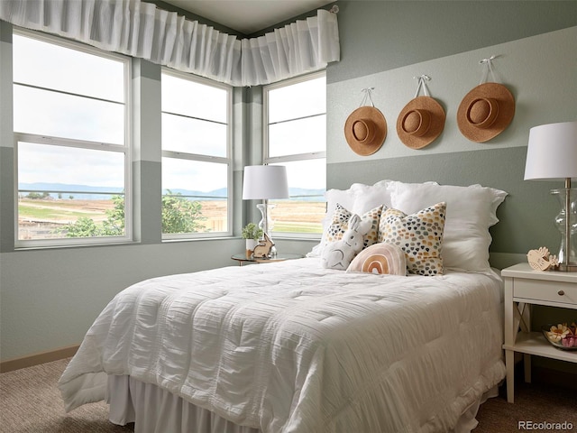 view of carpeted bedroom