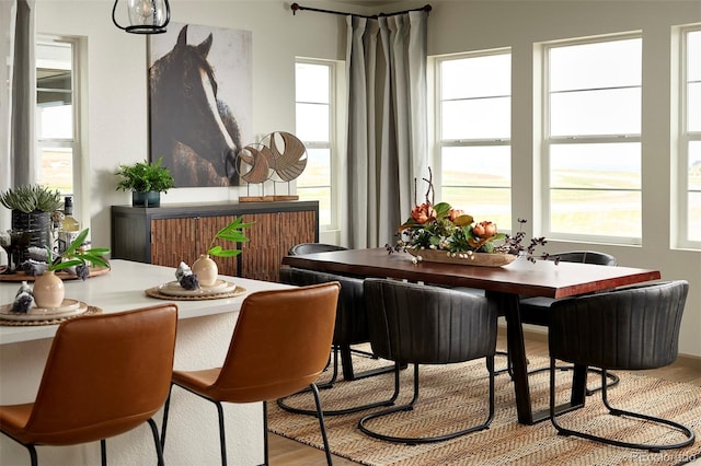 dining space with light hardwood / wood-style floors and a healthy amount of sunlight