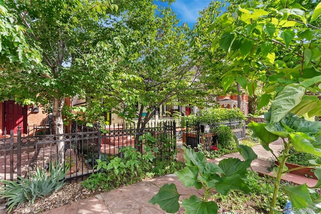 3313 Curtis St, Denver, CO 80205 - view of yard