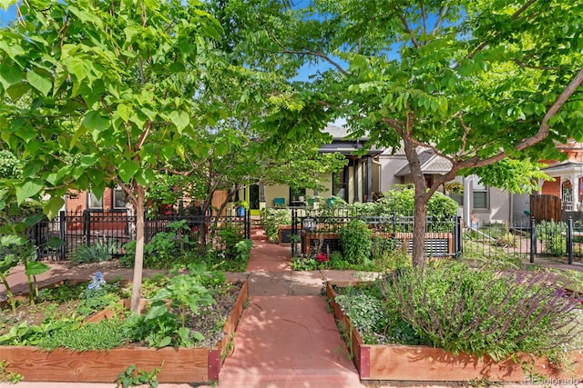 3313 Curtis St, Denver, CO 80205 - surrounding community with a garden
