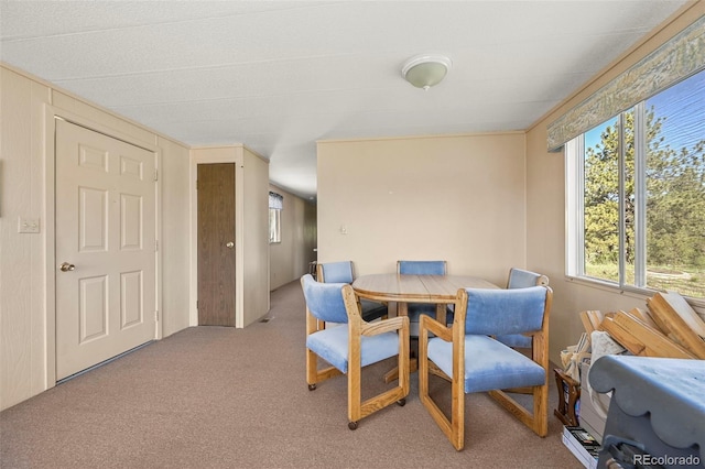 332 Valley Cir, Guffey, CO 80820 - dining area featuring light carpet and plenty of natural light