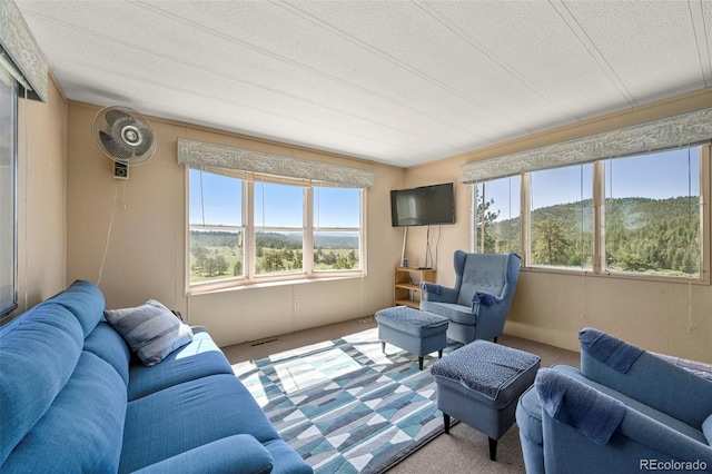 332 Valley Cir, Guffey, CO 80820 - living area with carpet, healthy amount of natural light, and a textured ceiling