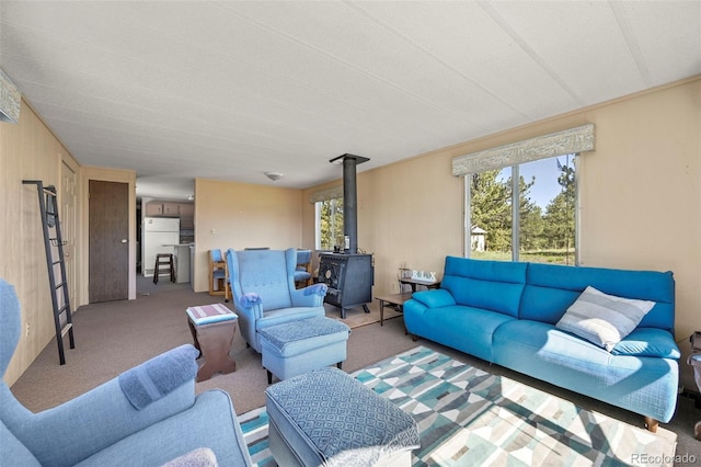 332 Valley Cir, Guffey, CO 80820 - living room featuring a wood stove and carpet flooring
