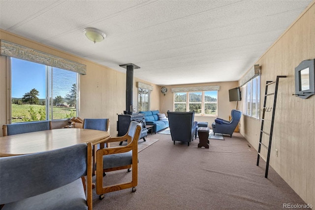 332 Valley Cir, Guffey, CO 80820 - dining room with a wood stove, carpet floors, wooden walls, and a textured ceiling