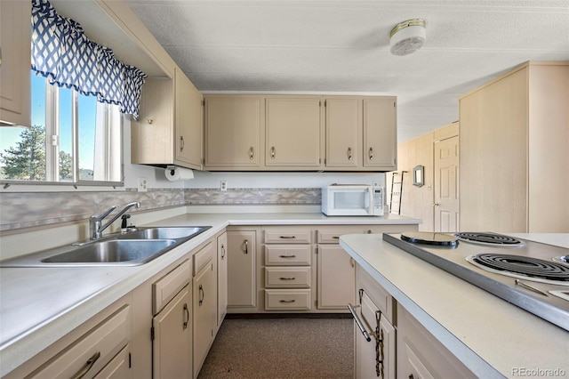 332 Valley Cir, Guffey, CO 80820 - kitchen with white microwave, light countertops, and stainless steel electric cooktop
