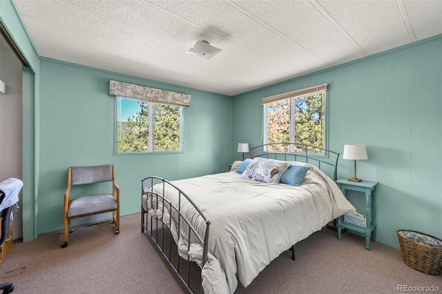 332 Valley Cir, Guffey, CO 80820 - carpeted bedroom featuring multiple windows, a closet, and a textured ceiling