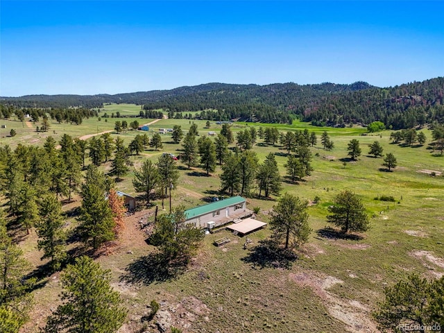 332 Valley Cir, Guffey, CO 80820 - view of rural area featuring a forest and a mountain backdrop