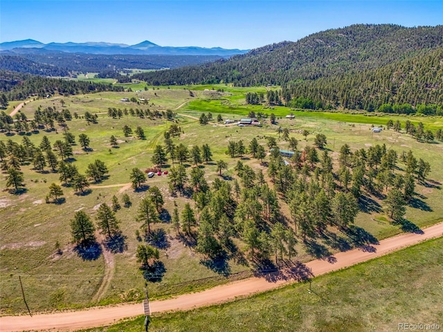 332 Valley Cir, Guffey, CO 80820 - view of rural area with mountains and a heavily wooded area