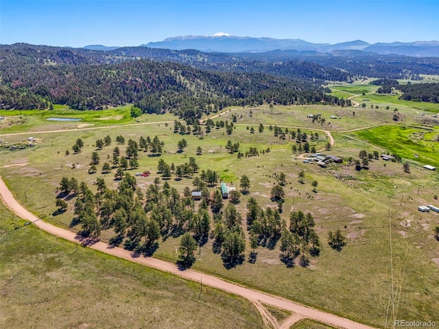 332 Valley Cir, Guffey, CO 80820 - view of rural area with a mountainous background