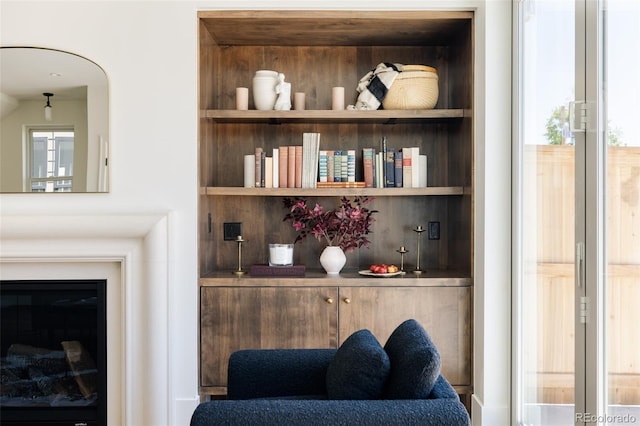 4131 Quivas St, Denver, CO 80211 - detailed view of built in shelves