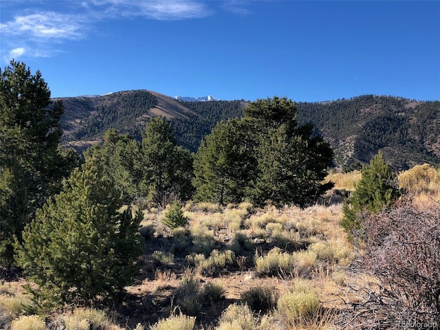 14799 Granite Pkwy, Salida CO, 81201 land for sale