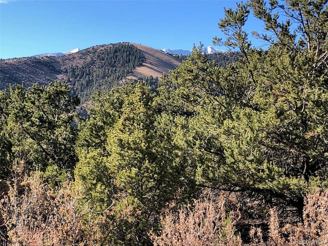 Listing photo 2 for 14799 Granite Pkwy, Salida CO 81201