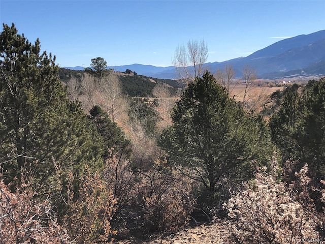 Listing photo 3 for 14799 Granite Pkwy, Salida CO 81201