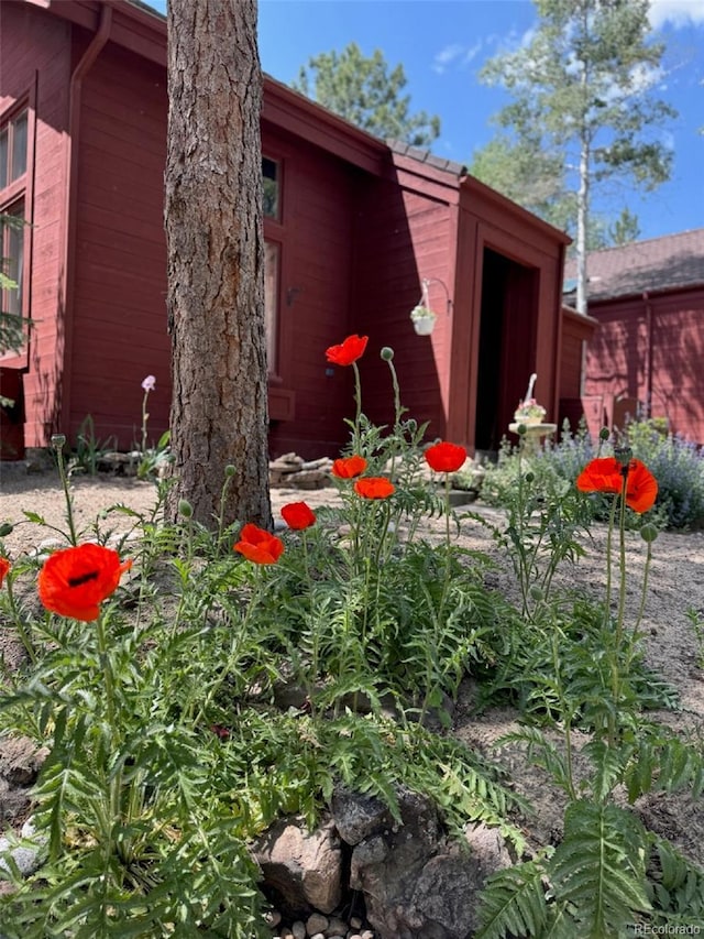 23666 Genesee Village Rd, Golden, CO 80401 - photo 34