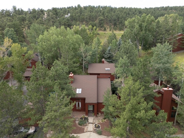 23666 Genesee Village Rd, Golden, CO 80401 - photo 42