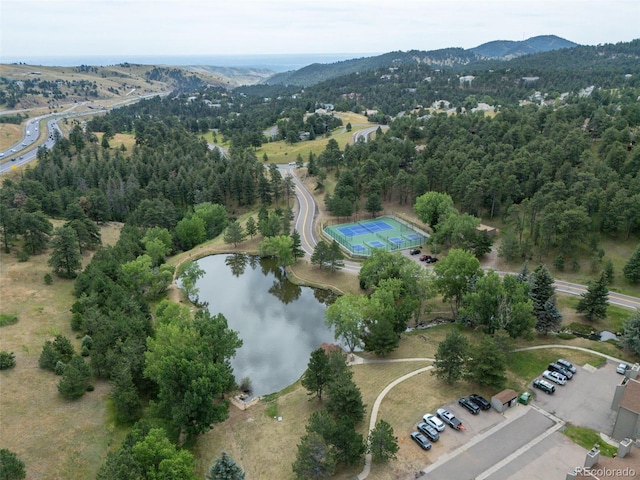 23666 Genesee Village Rd, Golden, CO 80401 - photo 47