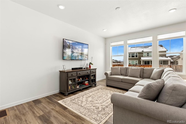 living room featuring hardwood / wood-style floors