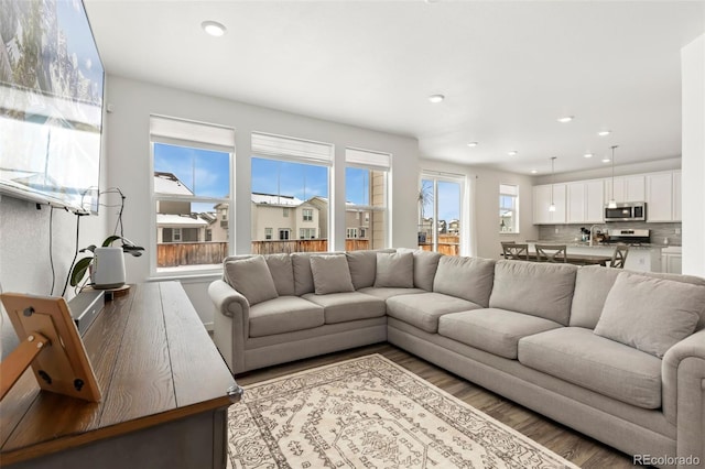 living room with wood-type flooring