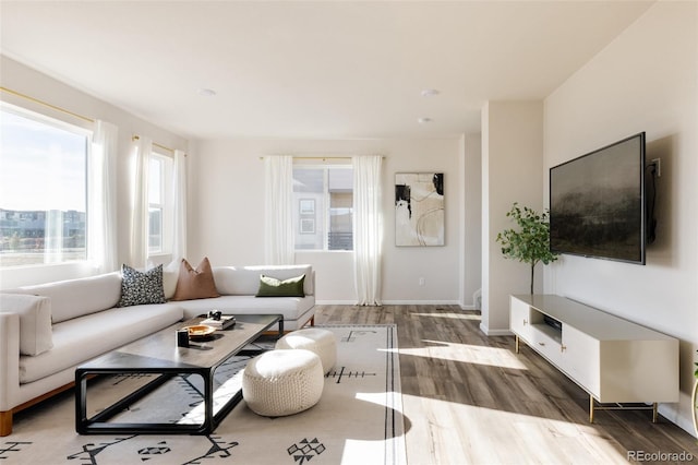 living room featuring wood-type flooring