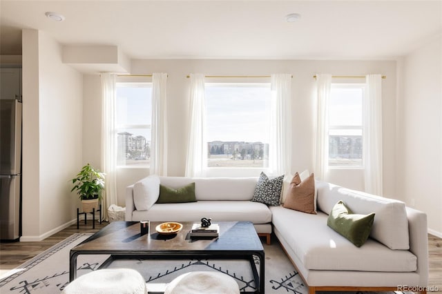 living room with hardwood / wood-style floors