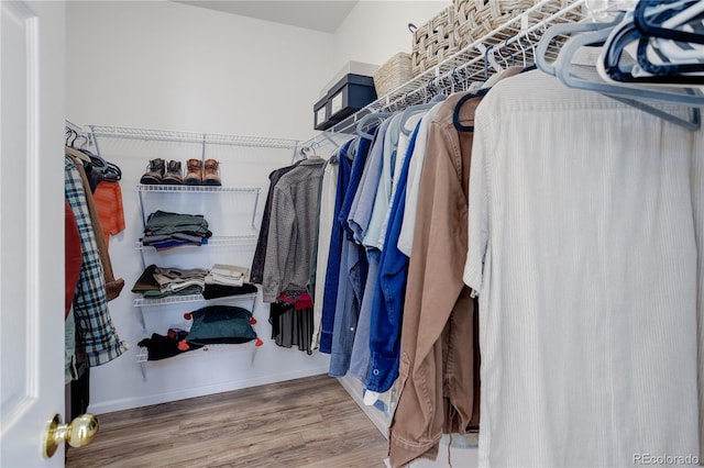 walk in closet featuring wood finished floors